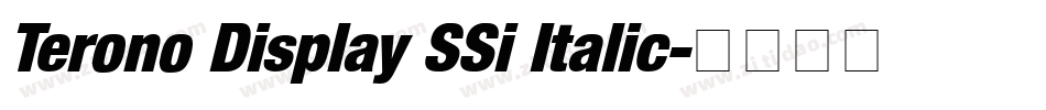 Terono Display SSi Italic字体转换